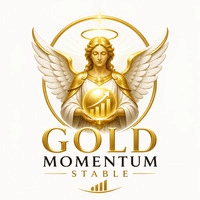 Gold Momentum Stable Aggressive Strategy Tester result, -24.43% simulated ROI