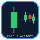 Candle Anatomy MT4 trading robot logo