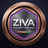 ZIVA Risk Split Manager