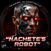 Nachete Robot Conservative Strategy Tester result, 13.39% simulated ROI