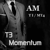 T3 Momentum AM