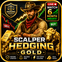Scalper Hedge GOLD Conservative Strategy Tester result, 13.45% simulated ROI