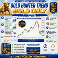 Gold Hunter Trend H1