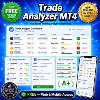 Trade Analyzer MT4 Conservative Strategy Tester result, 13.53% simulated ROI