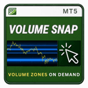 Volume Snap trading robot logo