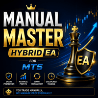 Manual Master Hybrid EA Aggressive Strategy Tester result, -23.84% simulated ROI