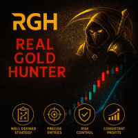 Real Gold Hunter Conservative Strategy Tester result, 13.62% simulated ROI