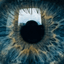 Eyeoneoffuture trading robot logo