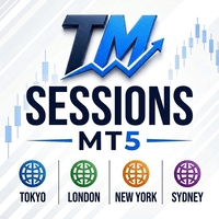 Sessions MT5 Conservative Strategy Tester result, 13.63% simulated ROI
