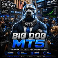 Big Dog MT5 Conservative Strategy Tester result, 13.66% simulated ROI