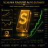 Scalper Gold Ultimate