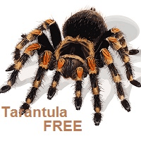 Tarantula trading robot logo