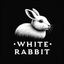 White Rabbit X trading robot logo