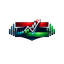 HighVolume SR Box trading robot logo