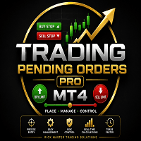 Trading Pending Orders Pro MT4 Conservative Strategy Tester result, 13.88% simulated ROI
