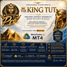 The king tut pro mt4