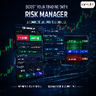 Professional Risk Manager