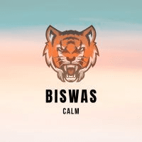 Biswas Conservative Strategy Tester result, 11.21% simulated ROI