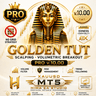 Golden tut xauusd scalping pro