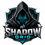 Shadow Grid EA trading robot logo