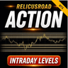 RelicusRoad Action Levels MT5