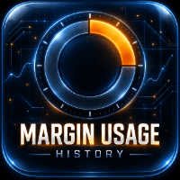 Margin Usage History
