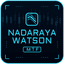 Nadaraya Watson Envelope MTF MT4 trading robot logo