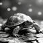StableTurtleBase trading robot logo
