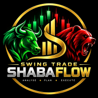 Swing Trade ShabaFlow Conservative Strategy Tester result, 15.19% simulated ROI
