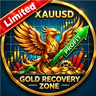 Gold Zone Recovery Analytics Limited