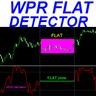WPR Flat Detector mr