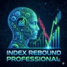 Index Rebound Professional