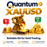 Quantum XAUUSD