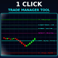 One Click Trade Manager Tool Conservative Strategy Tester result, 15.96% simulated ROI