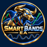 Smart Bands