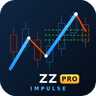 ZZ Impulse PRO