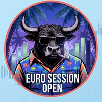 Euro Session Open Conservative Strategy Tester result, 16.16% simulated ROI