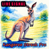 Kangaroo Streak Pro MT4