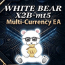 WhteBearX2B