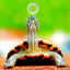 Turtle Scalper Pro trading robot logo