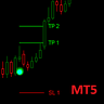 Dark Point MT5