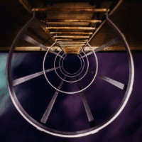 Dark Gold trading robot logo
