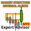 Market Reversal Alerts EA MT5 trading robot logo