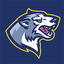 Black Wolf MT5 trading robot logo