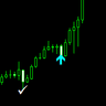 Nasdaq Savages
