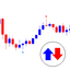StochSignal trading robot logo