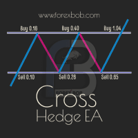 Cross Hedge EA Conservative Strategy Tester result, 19.29% simulated ROI