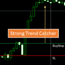 Strong Trend Catcher trading robot logo