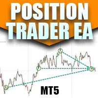 Position Trader EA MT5 Aggressive Strategy Tester result, -6.48% simulated ROI