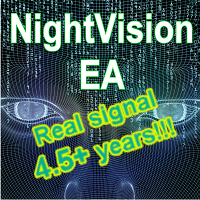 NightVision EA Conservative Strategy Tester result, 10.09% simulated ROI